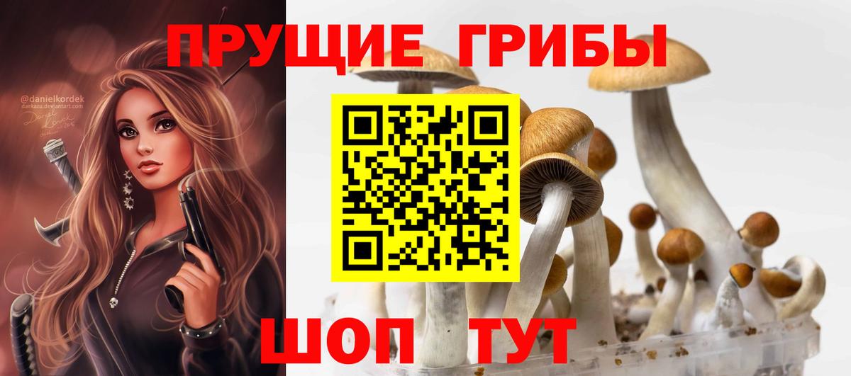Галлюциногенные грибы Magic Shrooms Петропавловск-Камчатский