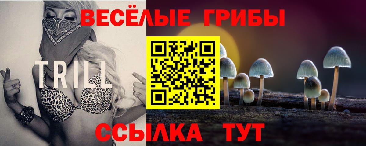 Галлюциногенные грибы мухоморы  Вход с VPN  Петропавловск-Камчатский 